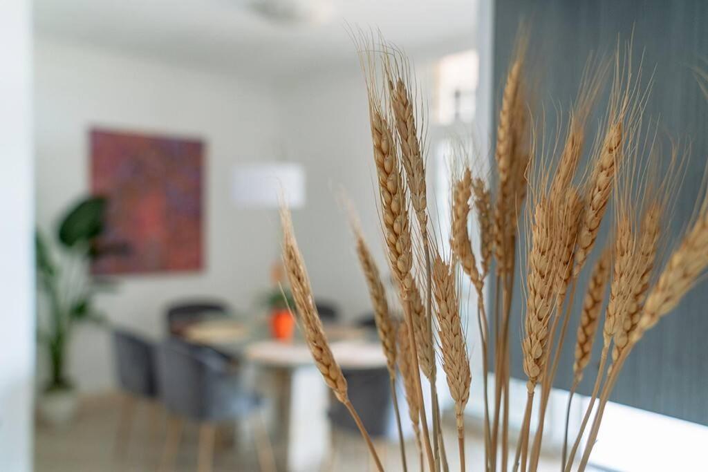 Apartment Residenza Dell Agrifoglio